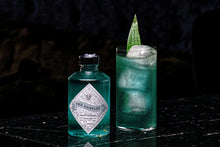 Lade das Bild in den Galerie-Viewer, BLUE NECTAR TOMMY’S MARGARITA (FÜR 2 DRINKS)